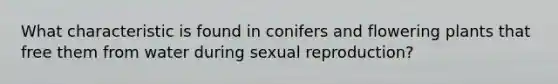 What characteristic is found in conifers and flowering plants that free them from water during sexual reproduction?