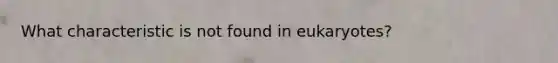 What characteristic is not found in eukaryotes?