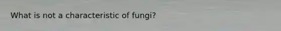 What is not a characteristic of fungi?