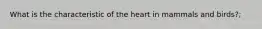 What is the characteristic of the heart in mammals and birds?;