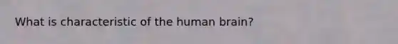 What is characteristic of the human brain?