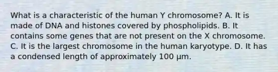 What is a characteristic of the human Y chromosome? A. It is made of DNA and histones covered by phospholipids. B. It contains some genes that are not present on the X chromosome. C. It is the largest chromosome in the human karyotype. D. It has a condensed length of approximately 100 μm.