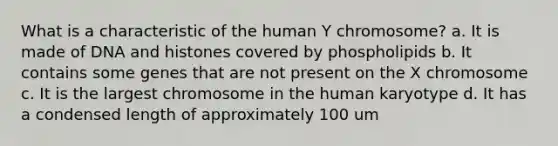 What is a characteristic of the human Y chromosome? a. It is made of DNA and histones covered by phospholipids b. It contains some genes that are not present on the X chromosome c. It is the largest chromosome in the human karyotype d. It has a condensed length of approximately 100 um