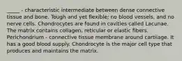 _____ - characteristic intermediate between dense connective tissue and bone. Tough and yet flexible; no blood vessels, and no nerve cells. Chondrocytes are found in cavities called Lacunae. The matrix contains collagen, reticular or elastic fibers. Perichondrium - connective tissue membrane around cartilage. It has a good blood supply. Chondrocyte is the major cell type that produces and maintains the matrix.