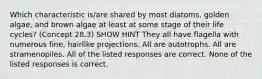 Which characteristic is/are shared by most diatoms, golden algae, and brown algae at least at some stage of their life cycles? (Concept 28.3) SHOW HINT They all have flagella with numerous fine, hairlike projections. All are autotrophs. All are stramenopiles. All of the listed responses are correct. None of the listed responses is correct.