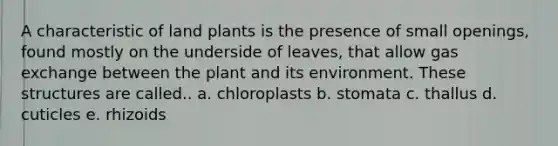 A characteristic of land plants is the presence of small openings, found mostly on the underside of leaves, that allow <a href='https://www.questionai.com/knowledge/kU8LNOksTA-gas-exchange' class='anchor-knowledge'>gas exchange</a> between the plant and its environment. These structures are called.. a. chloroplasts b. stomata c. thallus d. cuticles e. rhizoids