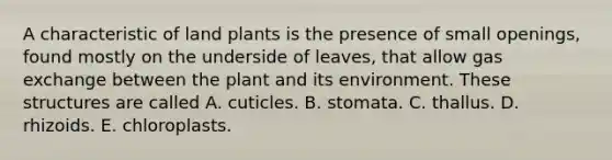 A characteristic of land plants is the presence of small openings, found mostly on the underside of leaves, that allow gas exchange between the plant and its environment. These structures are called A. cuticles. B. stomata. C. thallus. D. rhizoids. E. chloroplasts.