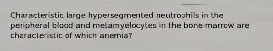 Characteristic large hypersegmented neutrophils in the peripheral blood and metamyelocytes in the bone marrow are characteristic of which anemia?