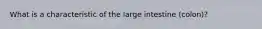 What is a characteristic of the large intestine (colon)?