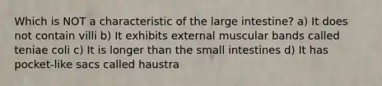 Which is NOT a characteristic of the large intestine? a) It does not contain villi b) It exhibits external muscular bands called teniae coli c) It is longer than the small intestines d) It has pocket-like sacs called haustra