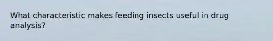 What characteristic makes feeding insects useful in drug analysis?