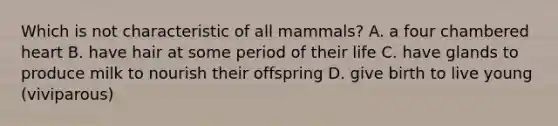 Which is not characteristic of all mammals? A. a four chambered heart B. have hair at some period of their life C. have glands to produce milk to nourish their offspring D. give birth to live young (viviparous)