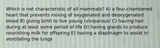 Which is not characteristic of all mammals? A) a four-chambered heart that prevents mixing of oxygenated and deoxygenated blood B) giving birth to live young (viviparous) C) having hair during at least some period of life D) having glands to produce nourishing milk for offspring E) having a diaphragm to assist in ventilating the lungs