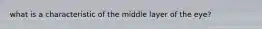 what is a characteristic of the middle layer of the eye?