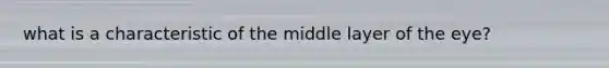 what is a characteristic of the middle layer of the eye?