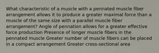 What characteristic of a muscle with a pennated muscle fiber arrangement allows it to produce a greater maximal force than a muscle of the same size with a parallel muscle fiber arrangement? Angle of pennation allows for a greater effective force production Presence of longer muscle fibers in the pennated muscle Greater number of muscle fibers can be placed in a compact arrangement Greater cross-sectional area