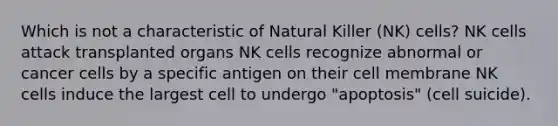 Which is not a characteristic of Natural Killer (NK) cells? NK cells attack transplanted organs NK cells recognize abnormal or cancer cells by a specific antigen on their cell membrane NK cells induce the largest cell to undergo "apoptosis" (cell suicide).