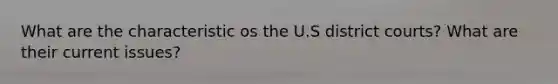 What are the characteristic os the U.S district courts? What are their current issues?