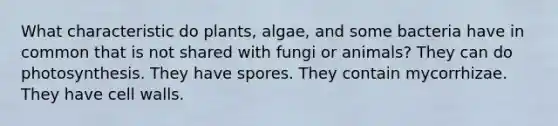 What characteristic do plants, algae, and some bacteria have in common that is not shared with fungi or animals? They can do photosynthesis. They have spores. They contain mycorrhizae. They have cell walls.