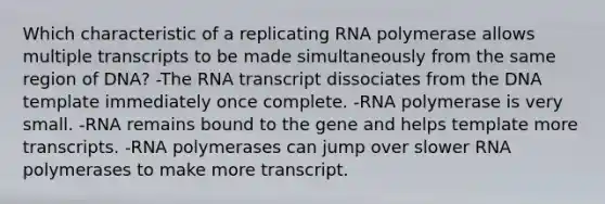 Which characteristic of a replicating RNA polymerase allows multiple transcripts to be made simultaneously from the same region of DNA? -The RNA transcript dissociates from the DNA template immediately once complete. -RNA polymerase is very small. -RNA remains bound to the gene and helps template more transcripts. -RNA polymerases can jump over slower RNA polymerases to make more transcript.