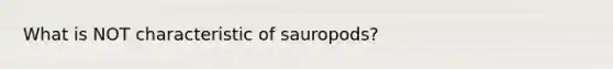 What is NOT characteristic of sauropods?