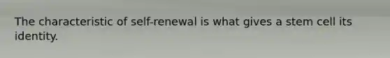 The characteristic of self-renewal is what gives a stem cell its identity.