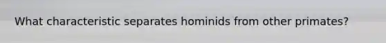 What characteristic separates hominids from other primates?