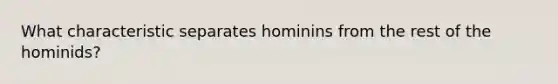 What characteristic separates hominins from the rest of the hominids?