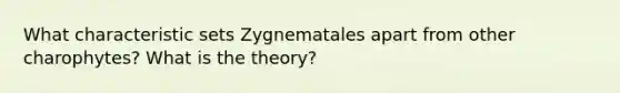 What characteristic sets Zygnematales apart from other charophytes? What is the theory?