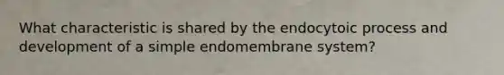 What characteristic is shared by the endocytoic process and development of a simple endomembrane system?