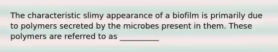 The characteristic slimy appearance of a biofilm is primarily due to polymers secreted by the microbes present in them. These polymers are referred to as __________