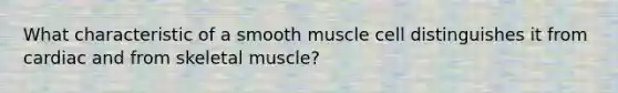 What characteristic of a smooth muscle cell distinguishes it from cardiac and from skeletal muscle?