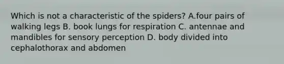 Which is not a characteristic of the spiders? A.four pairs of walking legs B. book lungs for respiration C. antennae and mandibles for sensory perception D. body divided into cephalothorax and abdomen