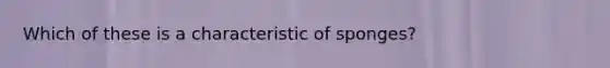 Which of these is a characteristic of sponges?