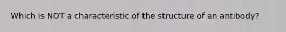 Which is NOT a characteristic of the structure of an antibody?