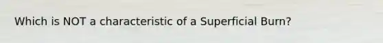 Which is NOT a characteristic of a Superficial Burn?