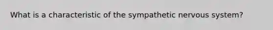 What is a characteristic of the sympathetic nervous system?