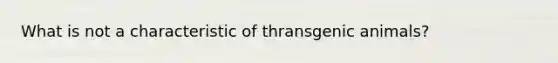 What is not a characteristic of thransgenic animals?