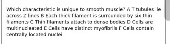 Which characteristic is unique to smooth muscle? A T tubules lie across Z lines B Each thick filament is surrounded by six thin filaments C Thin filaments attach to dense bodies D Cells are multinucleated E Cells have distinct myofibrils F Cells contain centrally located nuclei