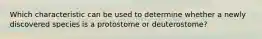 Which characteristic can be used to determine whether a newly discovered species is a protostome or deuterostome?