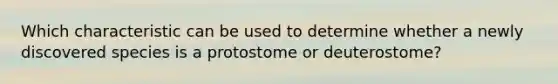 Which characteristic can be used to determine whether a newly discovered species is a protostome or deuterostome?