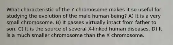 What characteristic of the Y chromosome makes it so useful for studying the evolution of the male human being? A) It is a very small chromosome. B) It passes virtually intact from father to son. C) It is the source of several X-linked human diseases. D) It is a much smaller chromosome than the X chromosome.