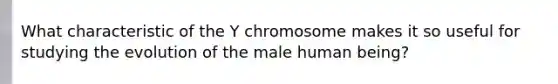 What characteristic of the Y chromosome makes it so useful for studying the evolution of the male human being?