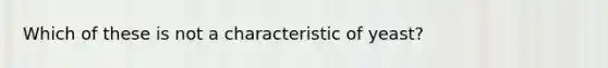 Which of these is not a characteristic of yeast?