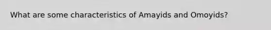 What are some characteristics of Amayids and Omoyids?