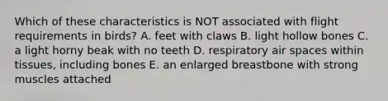 Which of these characteristics is NOT associated with flight requirements in birds? A. feet with claws B. light hollow bones C. a light horny beak with no teeth D. respiratory air spaces within tissues, including bones E. an enlarged breastbone with strong muscles attached