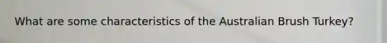 What are some characteristics of the Australian Brush Turkey?