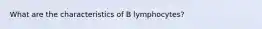 What are the characteristics of B lymphocytes?