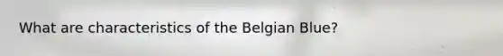 What are characteristics of the Belgian Blue?