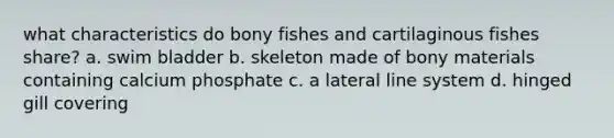 what characteristics do bony fishes and cartilaginous fishes share? a. swim bladder b. skeleton made of bony materials containing calcium phosphate c. a lateral line system d. hinged gill covering